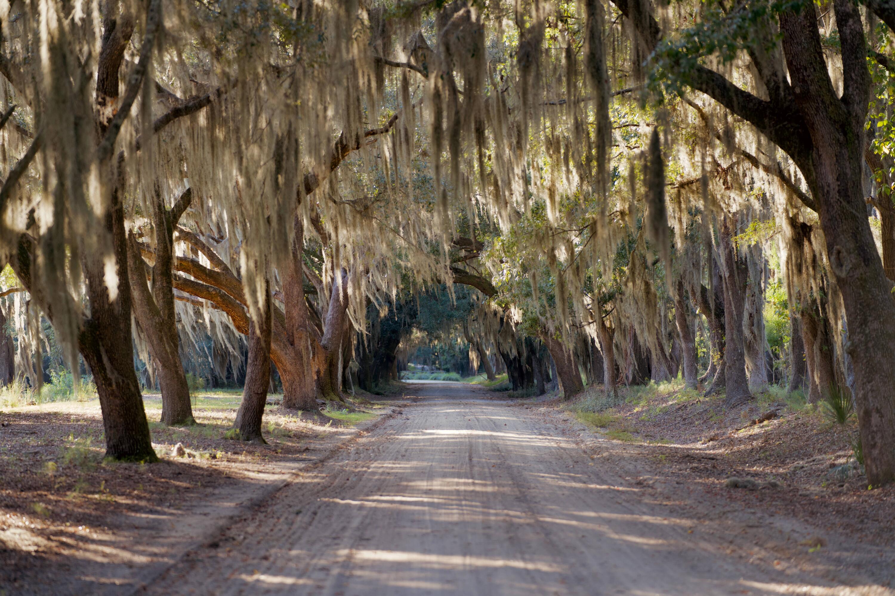 1451 River Road Yemassee, SC 29945 - Photo 20 of 111 DSC03378