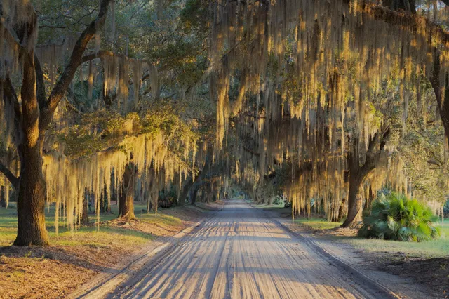 $7,200,000 | 1451 River Road, Yemassee, SC 29945