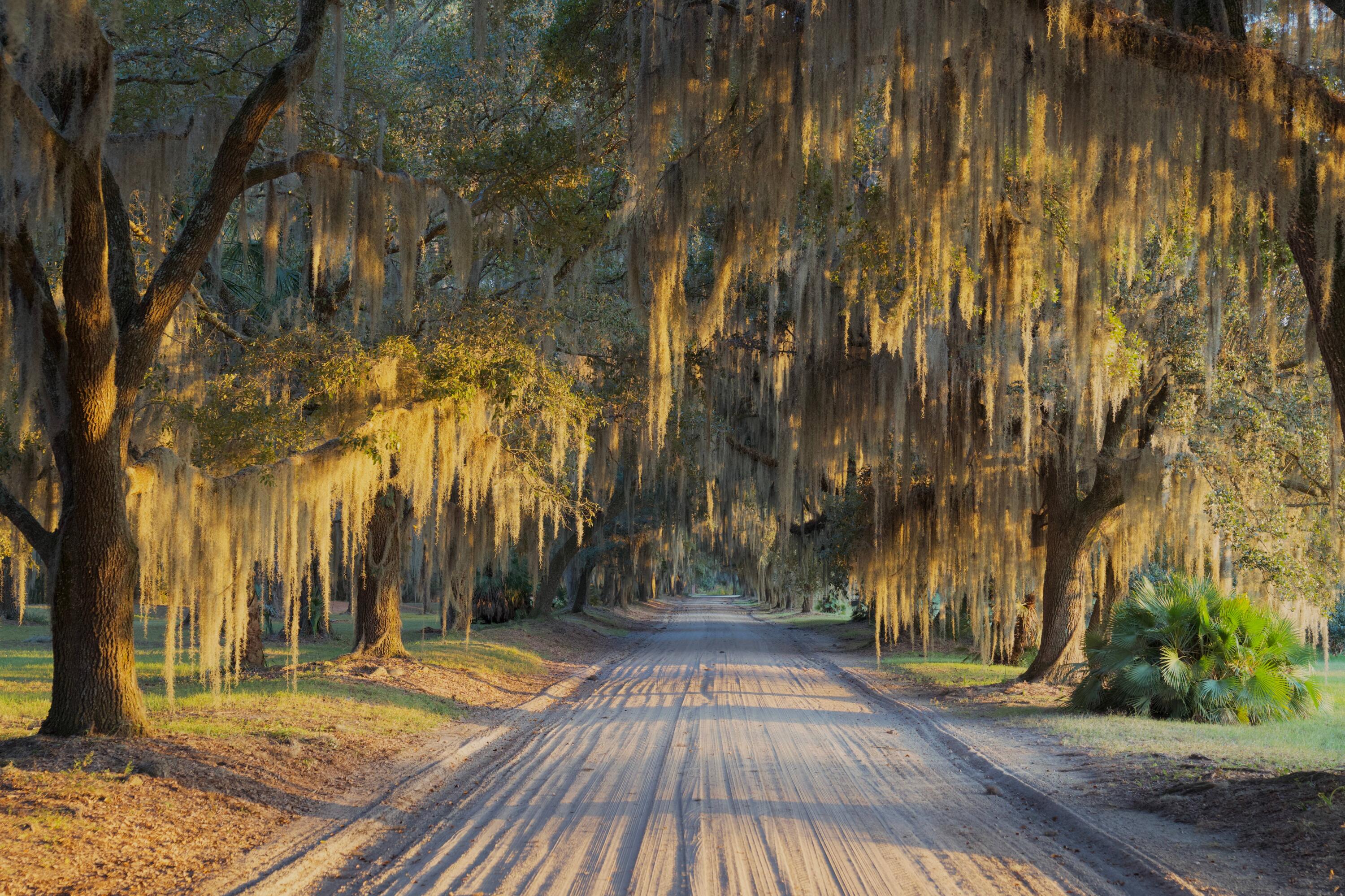 1451 River Road Yemassee, SC 29945 - Photo 21 of 111 DSC03438
