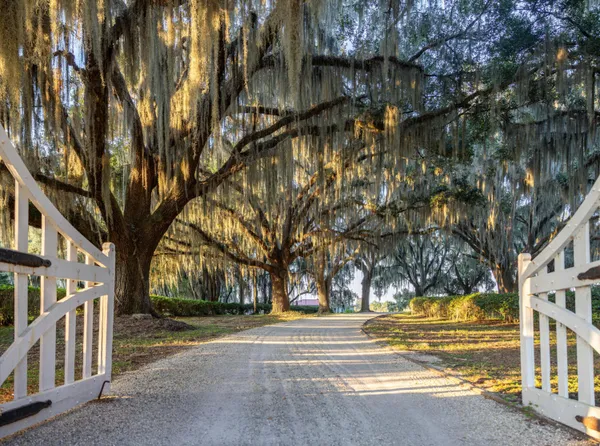 $7,200,000 | 1451 River Road, Yemassee, SC 29945