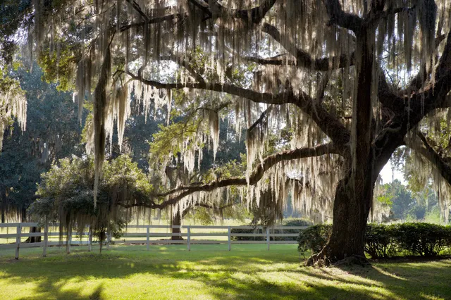 $7,200,000 | 1451 River Road, Yemassee, SC 29945