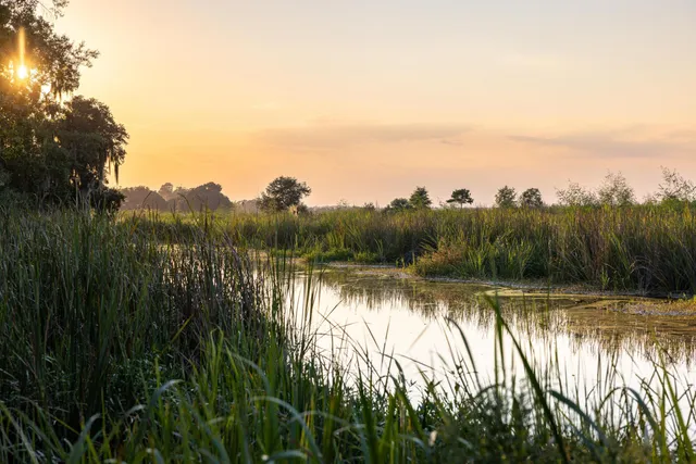 $7,200,000 | 1451 River Road, Yemassee, SC 29945