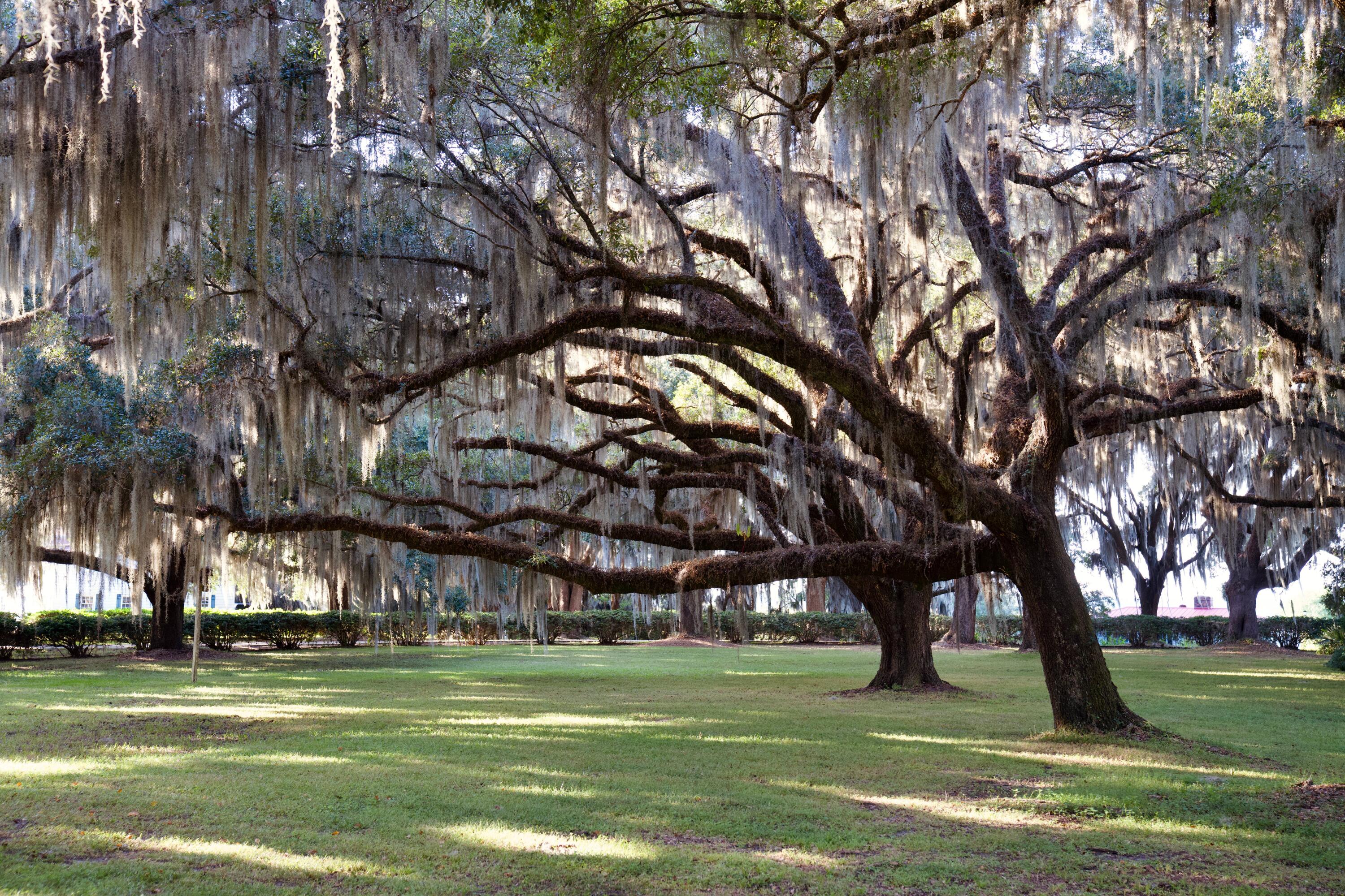 1451 River Road Yemassee, SC 29945 - Photo 39 of 111 DSC03356