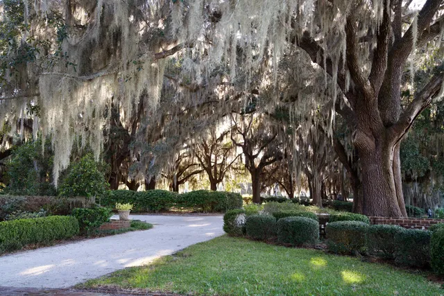 $7,200,000 | 1451 River Road, Yemassee, SC 29945