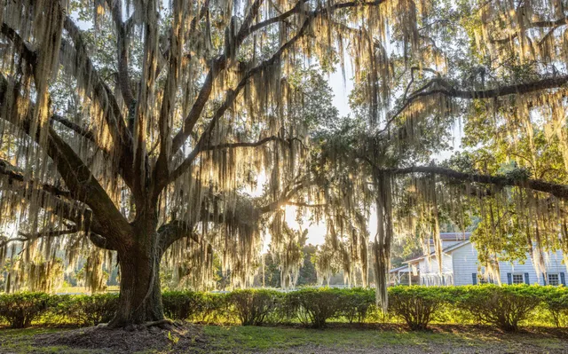 $7,200,000 | 1451 River Road, Yemassee, SC 29945