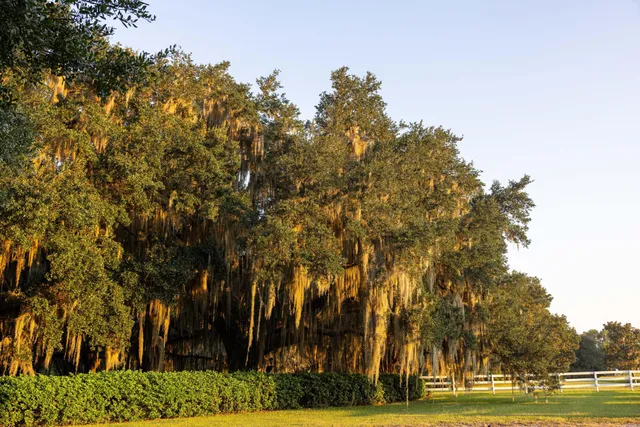 $7,200,000 | 1451 River Road, Yemassee, SC 29945