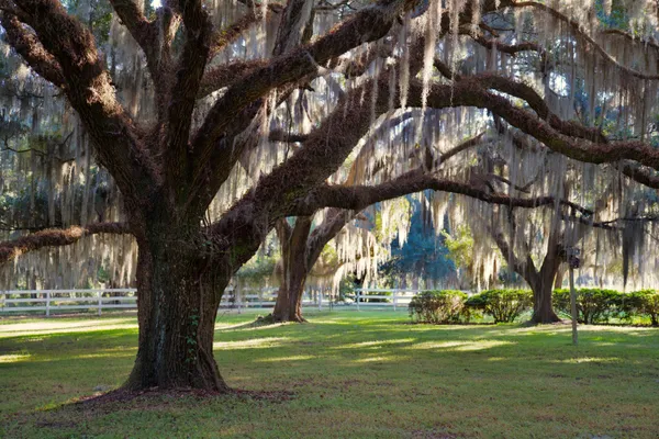 $7,200,000 | 1451 River Road, Yemassee, SC 29945