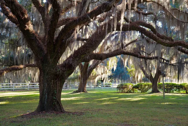 $7,200,000 | 1451 River Road, Yemassee, SC 29945