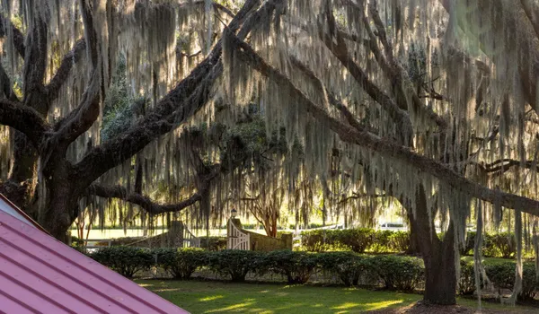 $7,200,000 | 1451 River Road, Yemassee, SC 29945