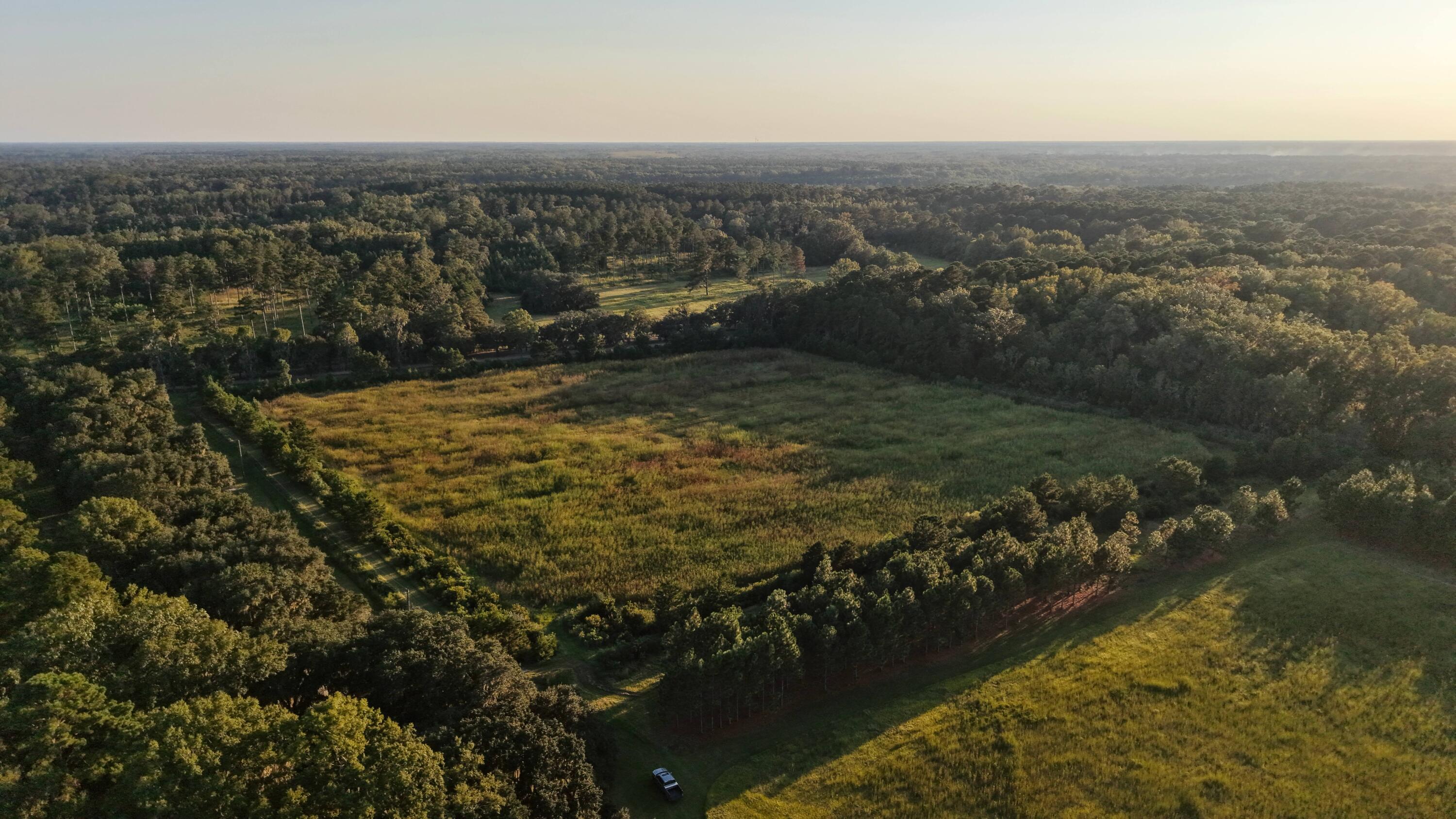 1451 River Road Yemassee, SC 29945 - Photo 84 of 111 DJI_20250924182629_0185_D