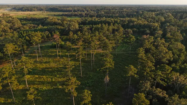 $7,200,000 | 1451 River Road, Yemassee, SC 29945