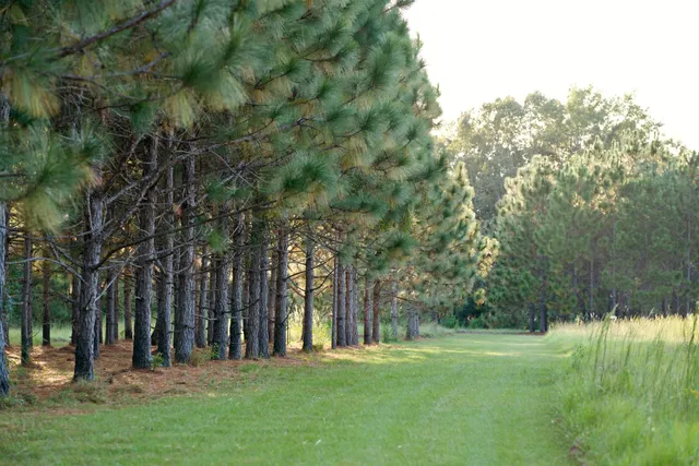 $7,200,000 | 1451 River Road, Yemassee, SC 29945