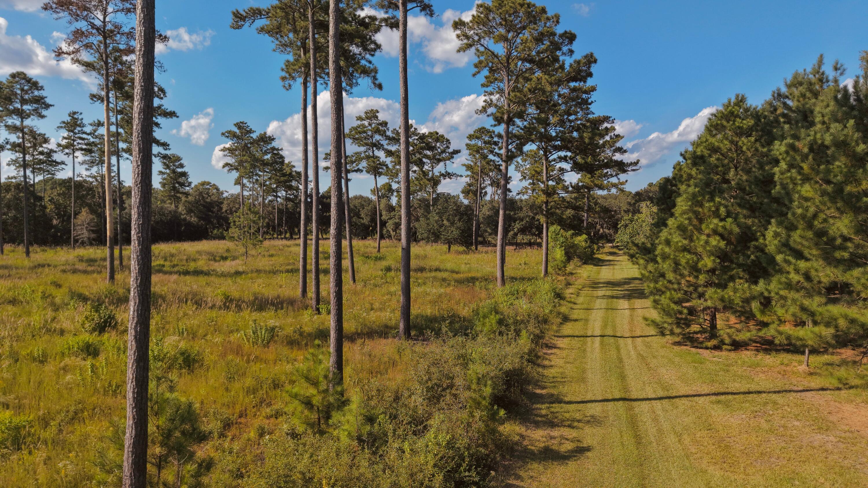 1451 River Road Yemassee, SC 29945 - Photo 89 of 111 DJI_20250924161959_0163_D