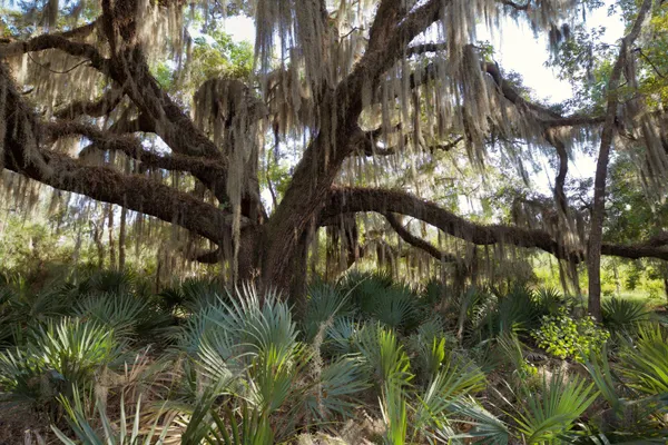 $7,200,000 | 1451 River Road, Yemassee, SC 29945