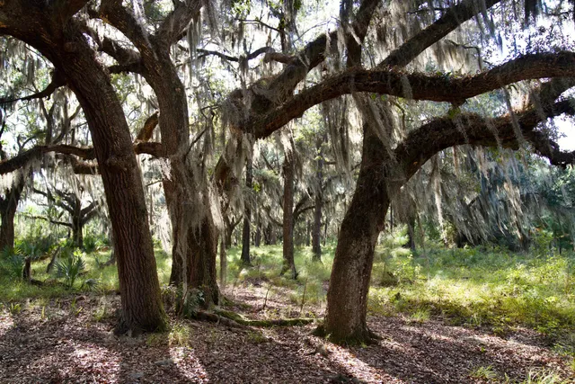 $7,200,000 | 1451 River Road, Yemassee, SC 29945