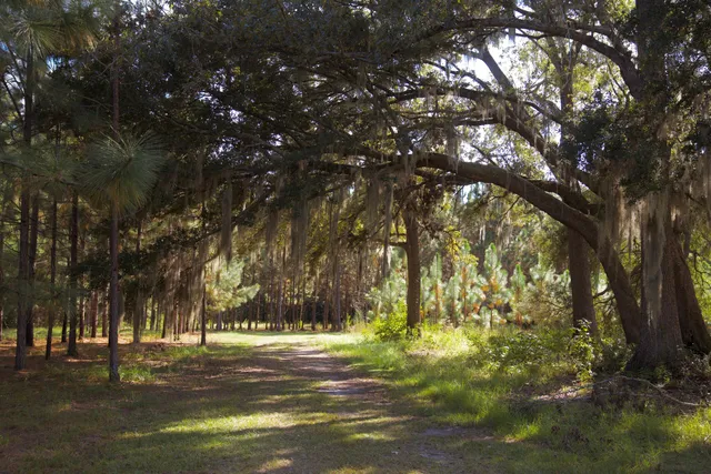 $7,200,000 | 1451 River Road, Yemassee, SC 29945