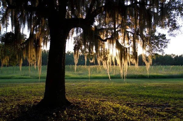 $7,200,000 | 1451 River Road, Yemassee, SC 29945