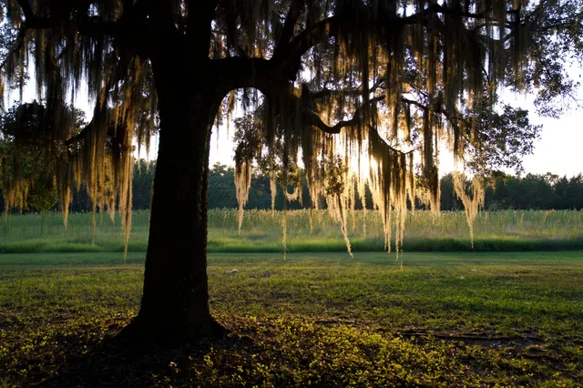 $7,200,000 | 1451 River Road, Yemassee, SC 29945