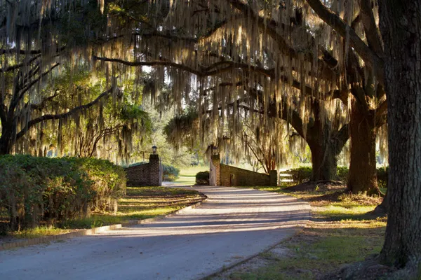 $7,200,000 | 1451 River Road, Yemassee, SC 29945