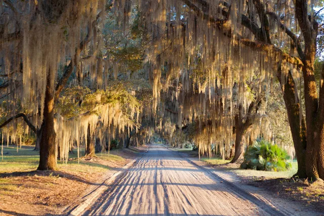 $7,200,000 | 1451 River Road, Yemassee, SC 29945