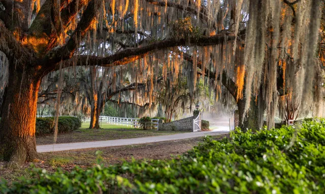 $7,200,000 | 1451 River Road, Yemassee, SC 29945