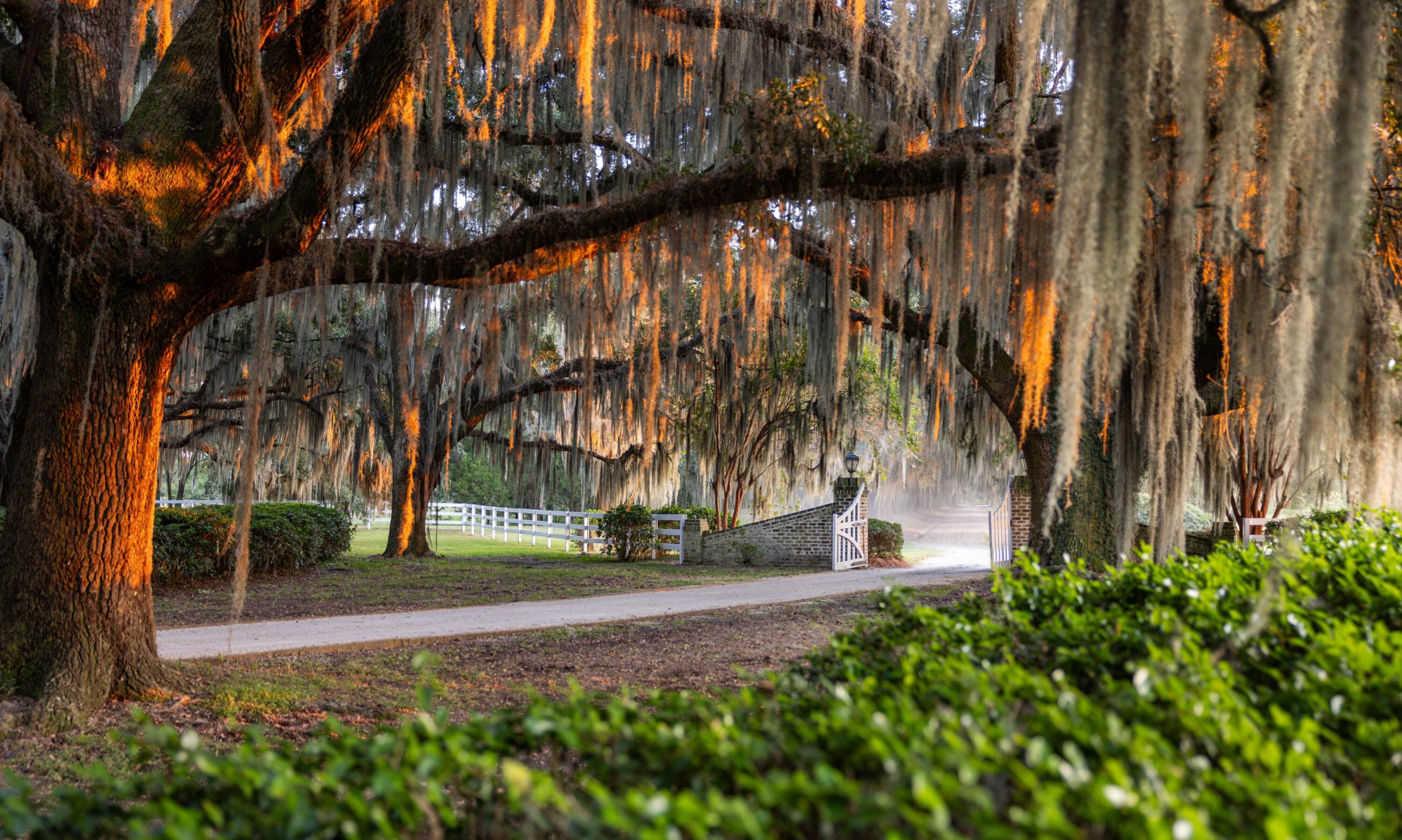 1451 River Road Yemassee, SC 29945 - Photo 10 of 111 183819-Ellis%20Creek%20Photography%20Par