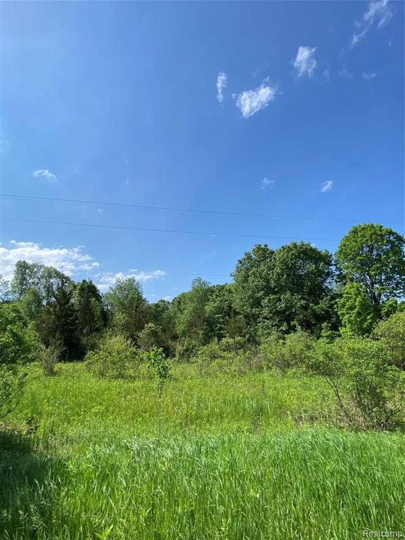 0 Kaiser Road Gregory, MI 48137 - Photo 15 of 29