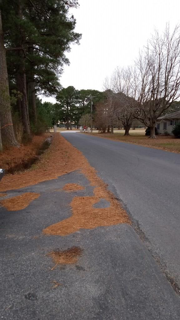 Lot A Country Club Road, Unit A Melfa, VA 23410 - Photo 3 of 4