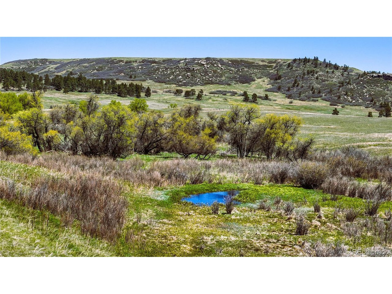 4 Lorraine Road Larkspur, CO 80118 - Photo 1 of 24 Gallery Image 1