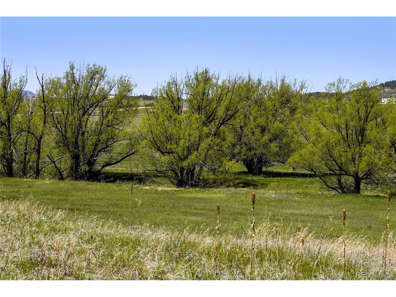4 Lorraine Road Larkspur, CO 80118 - Photo 19 of 24 Gallery Image 19