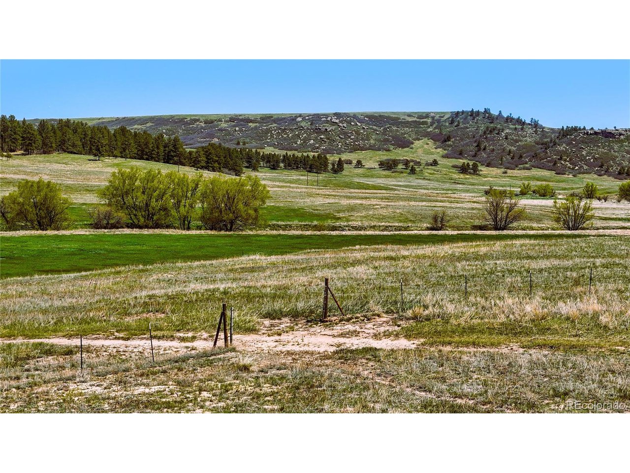 4 Lorraine Road Larkspur, CO 80118 - Photo 8 of 24 Gallery Image 8