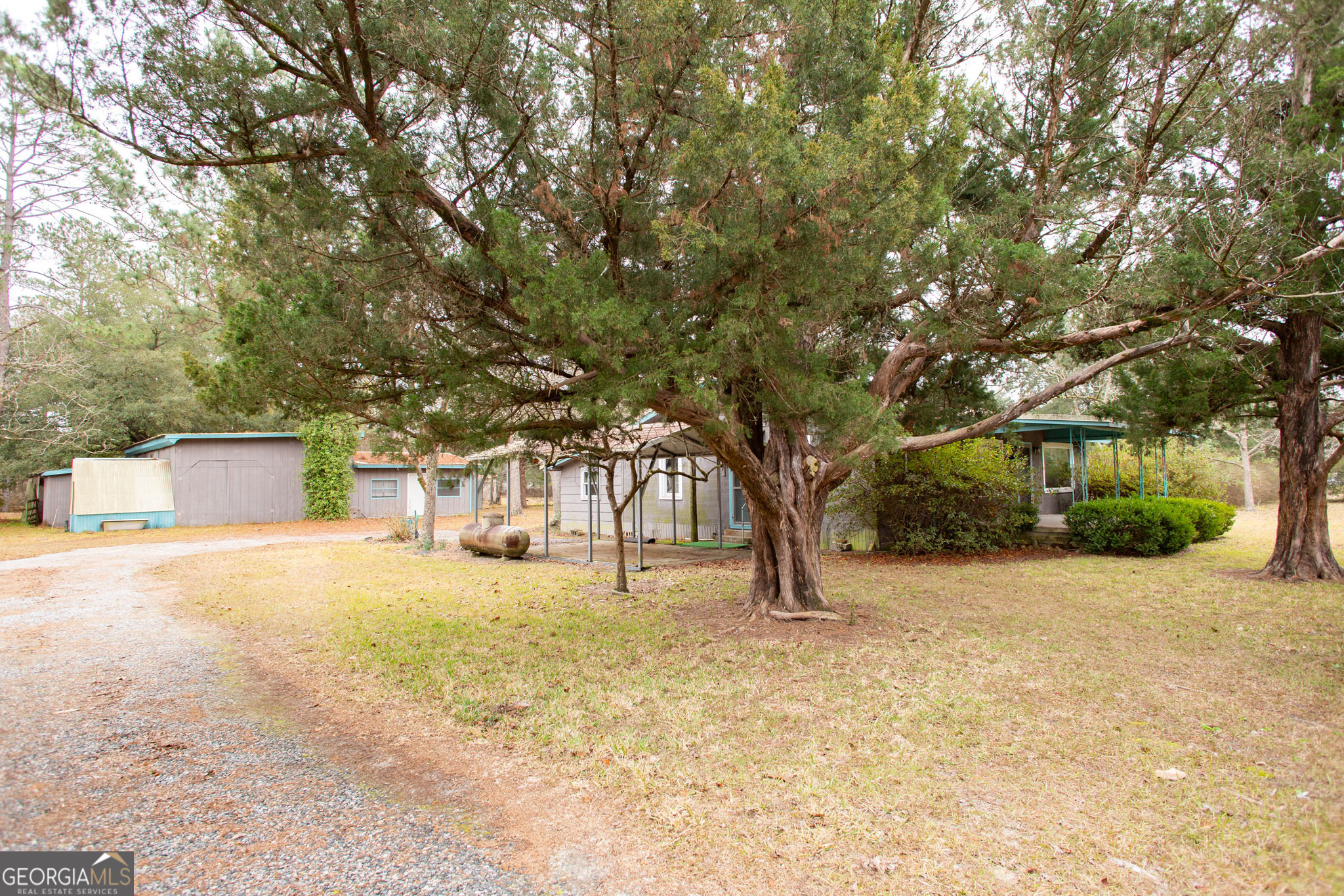 4618 Old Waltertown Road Waycross, GA 31503 - Photo 2 of 39 a view of a yard with a tree