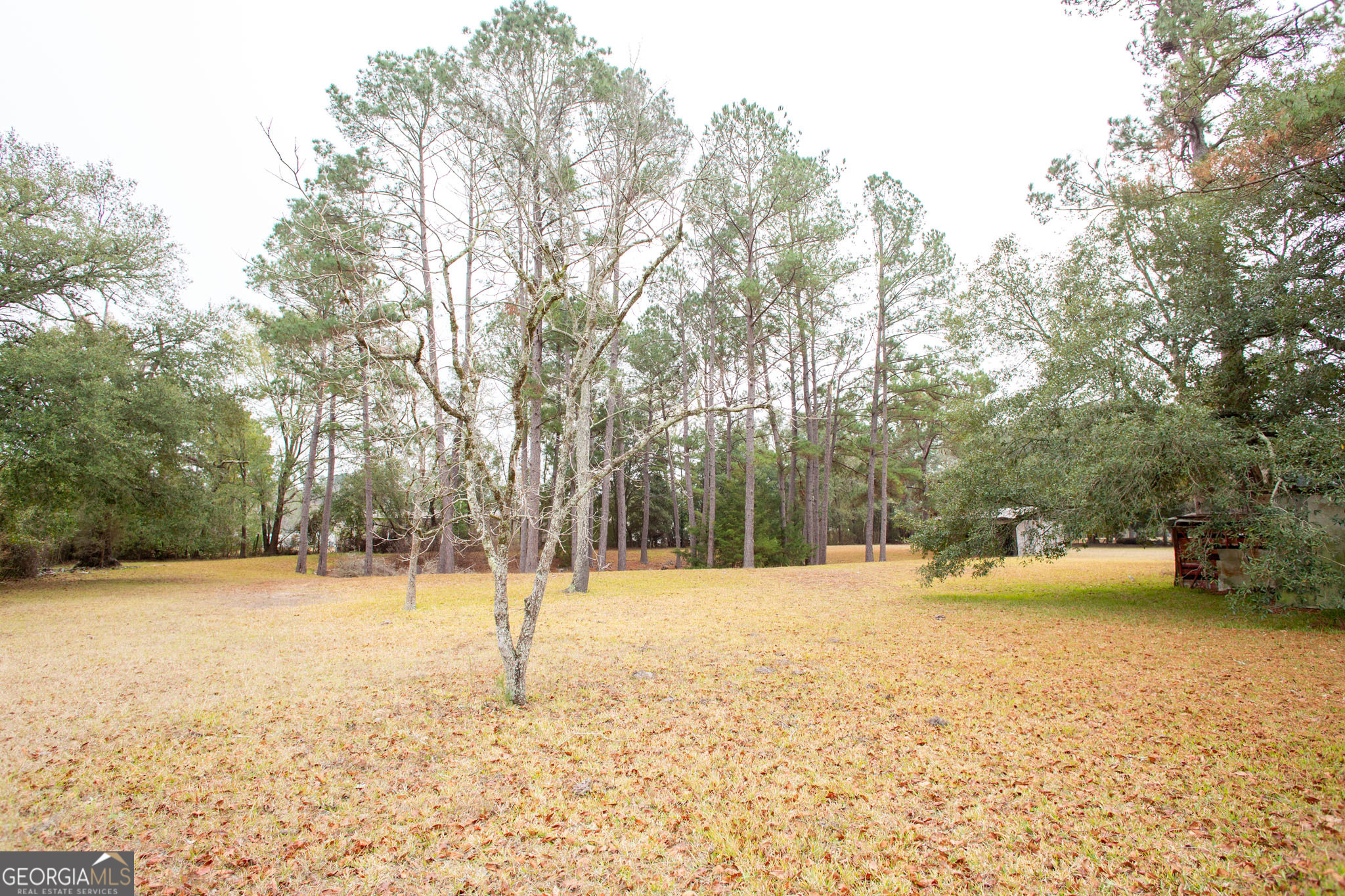 4618 Old Waltertown Road Waycross, GA 31503 - Photo 39 of 39 a view of outdoor space with trees