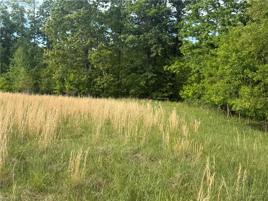 0 Amostown Road Sandy Ridge, NC 27046 - Photo 16 of 33
