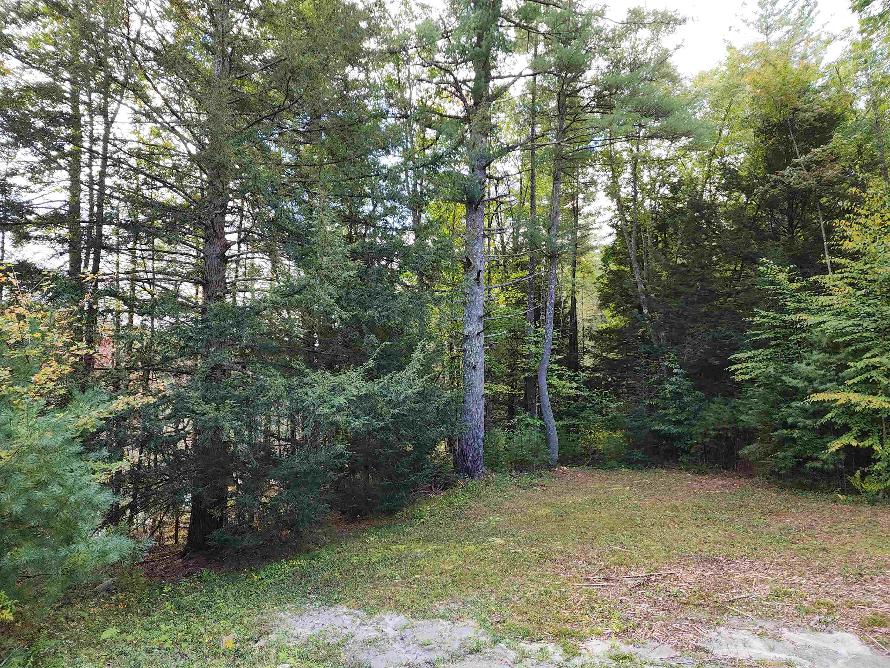 163 Rabbit Hollow Road Winchester, NH 03470 - Photo 19 of 28 Gallery Image 19