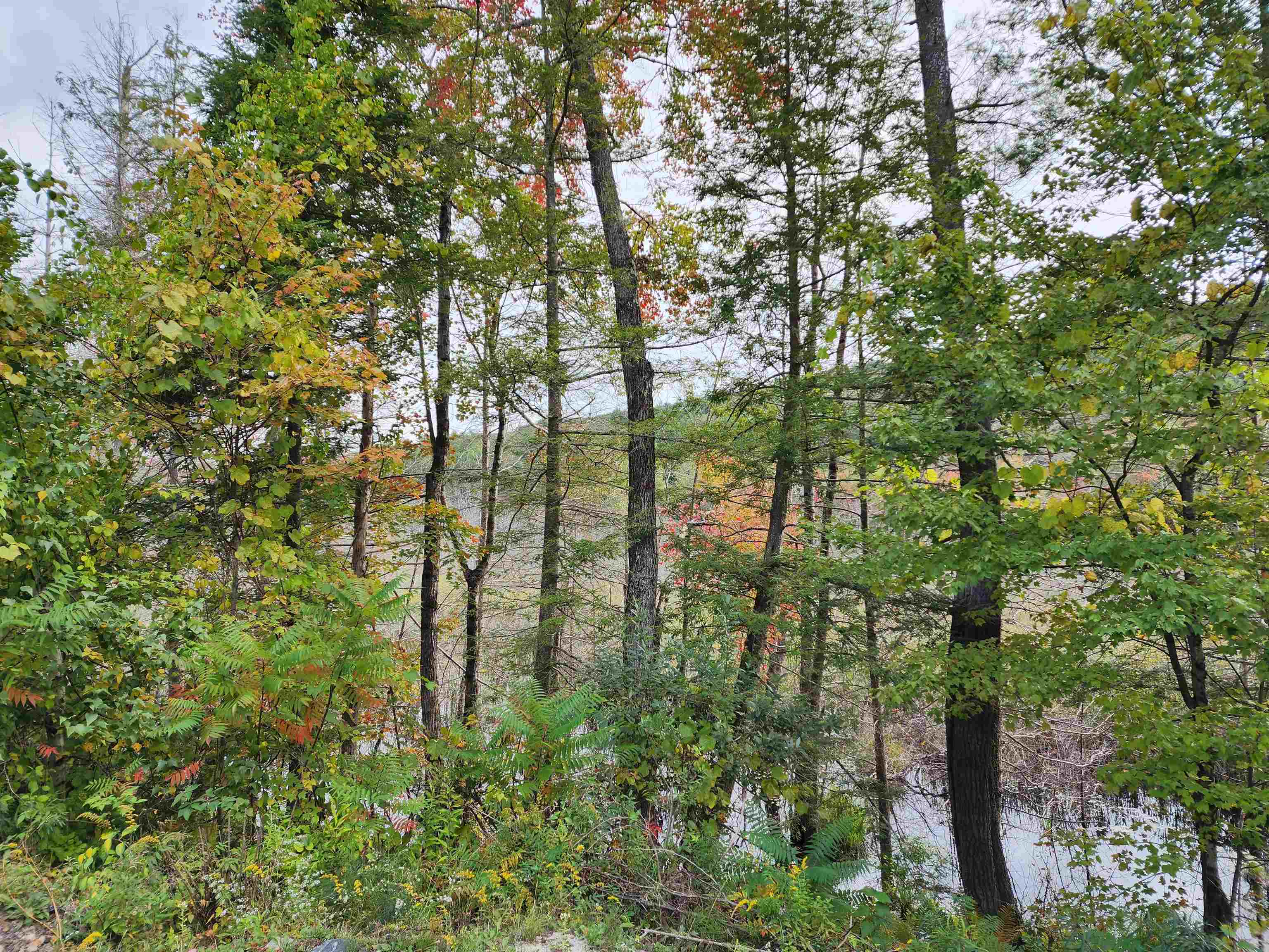 163 Rabbit Hollow Road Winchester, NH 03470 - Photo 20 of 28 Gallery Image 20