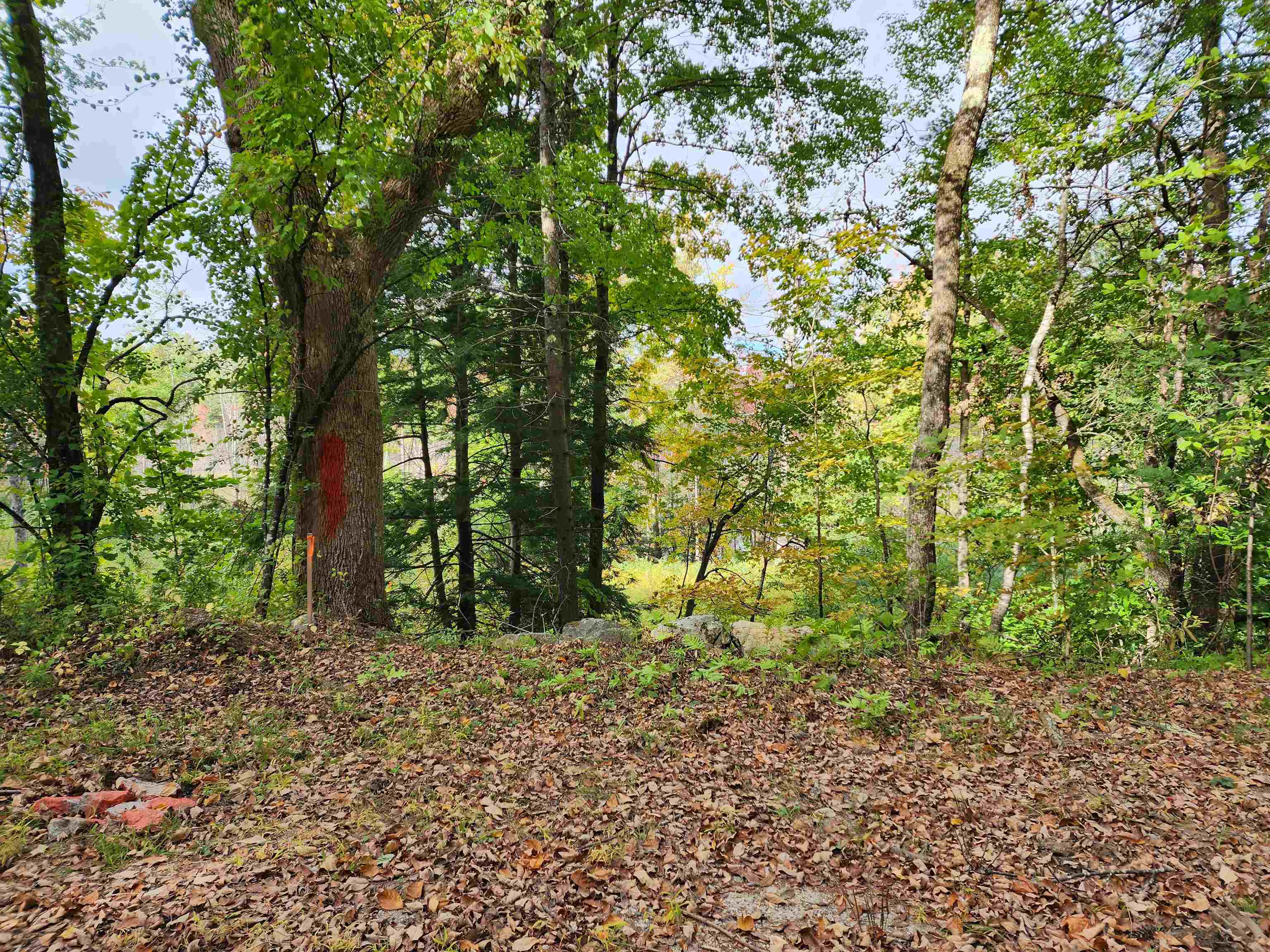 163 Rabbit Hollow Road Winchester, NH 03470 - Photo 22 of 28 Gallery Image 22