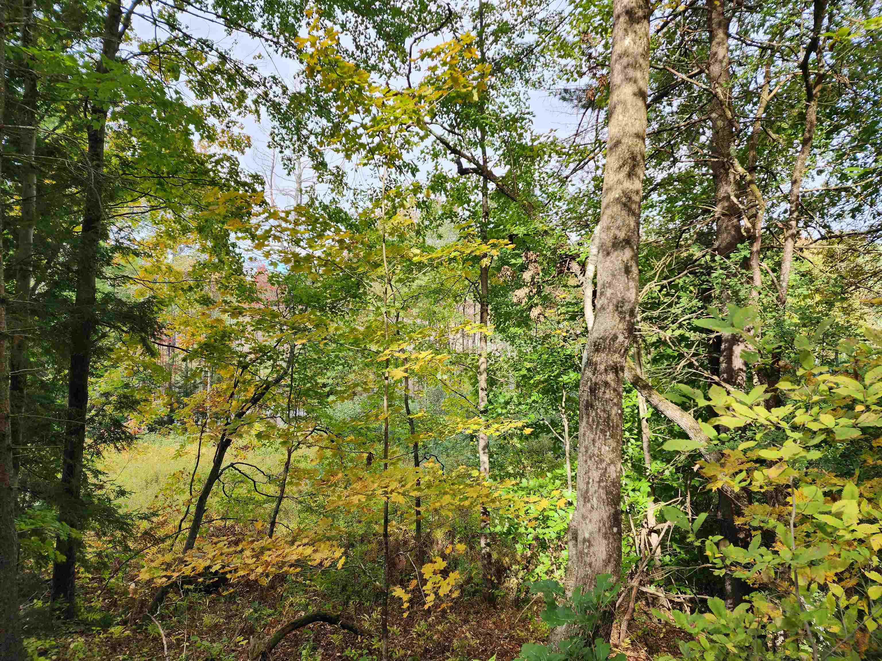 163 Rabbit Hollow Road Winchester, NH 03470 - Photo 23 of 28 Gallery Image 23