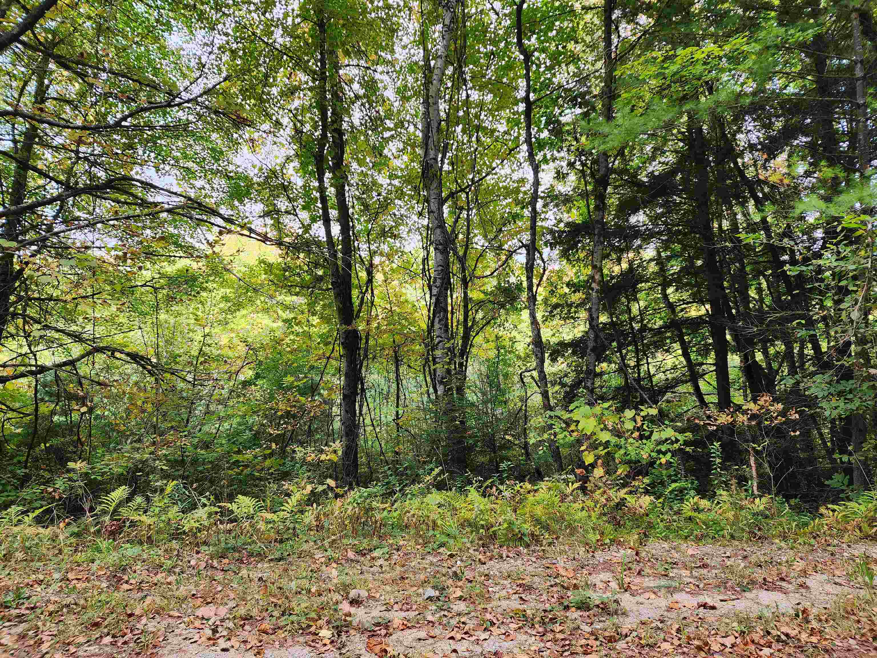 163 Rabbit Hollow Road Winchester, NH 03470 - Photo 24 of 28 Gallery Image 24