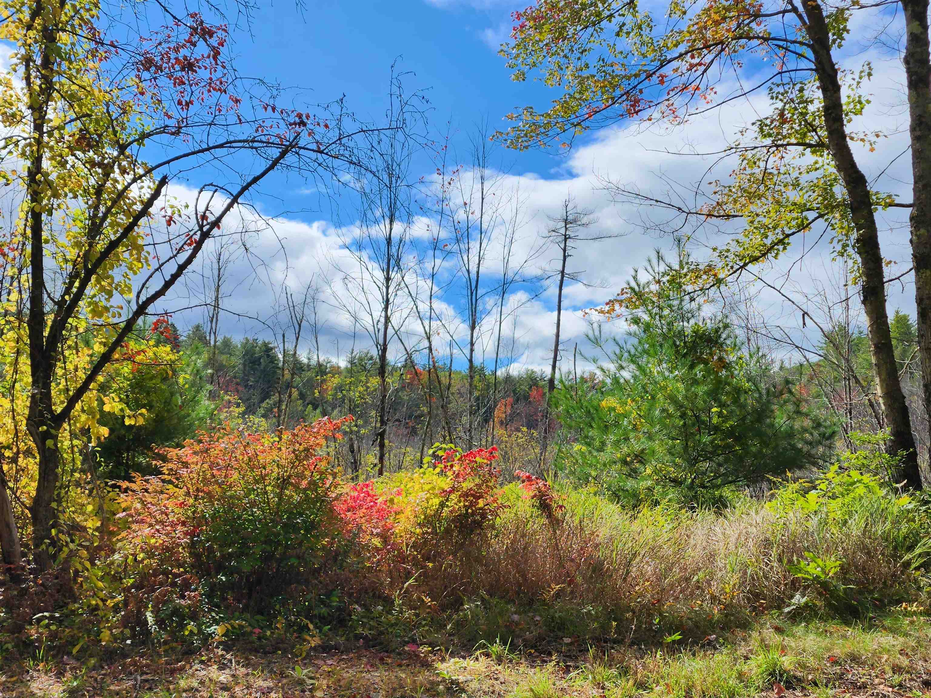 163 Rabbit Hollow Road Winchester, NH 03470 - Photo 25 of 28 Gallery Image 25