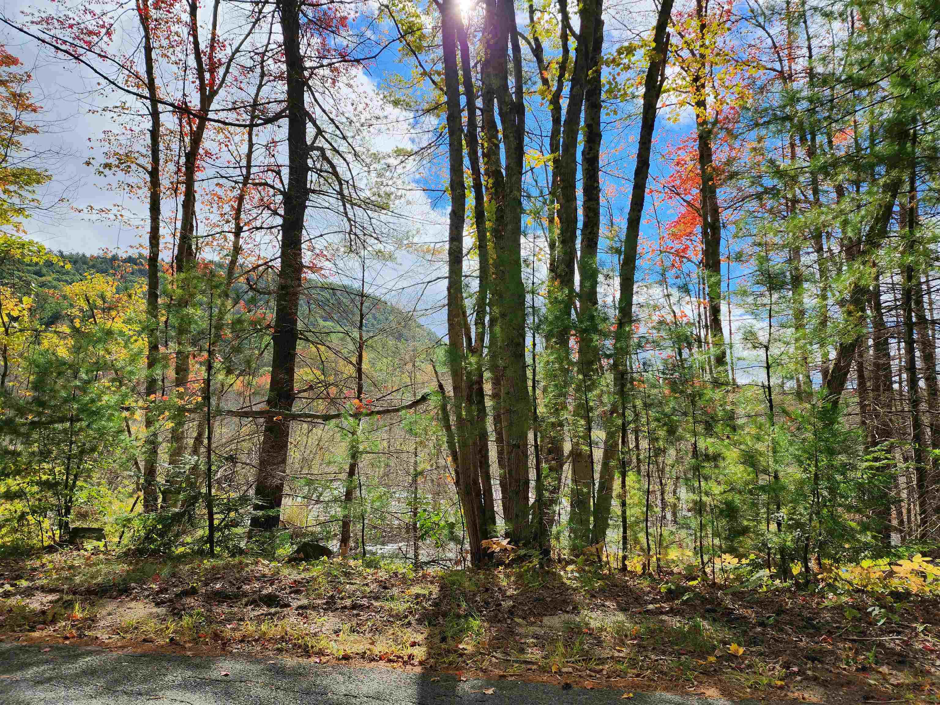 163 Rabbit Hollow Road Winchester, NH 03470 - Photo 26 of 28 Gallery Image 26