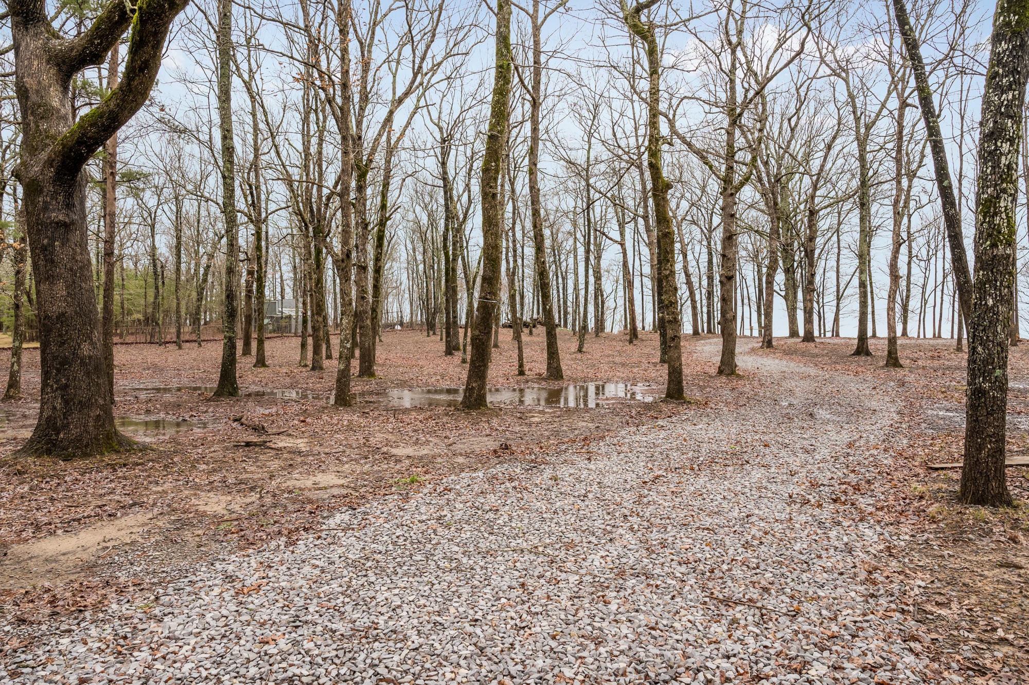 6760 Old State Road Cloudland, GA 30731 - Photo 28 of 28