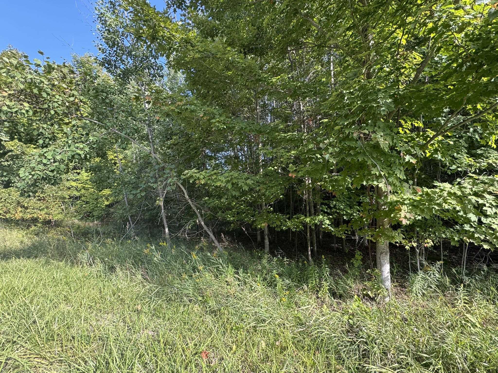 Lot 4 East Old Mountain Road, Unit LOT: 4 Cedar, MI 49621 - Photo 7 of 12