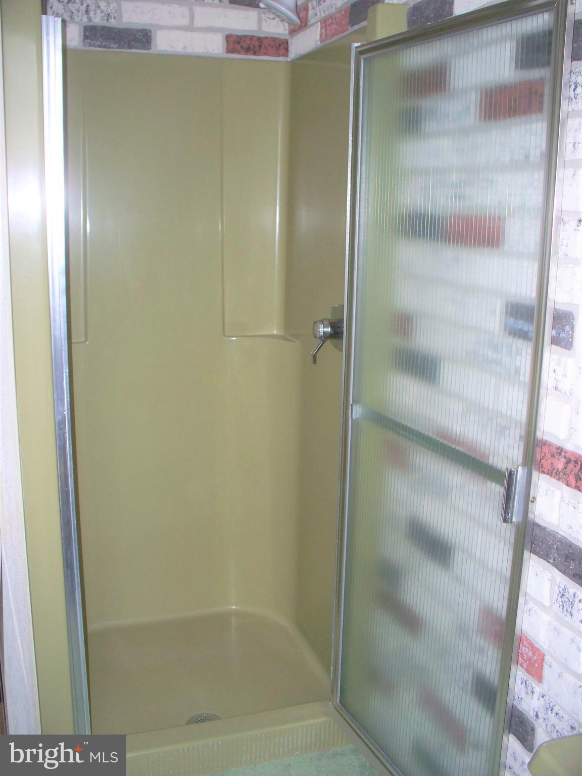 3118 Rocks Road Jarrettsville, MD 21084 - Photo 29 of 62 Master Bath - shower