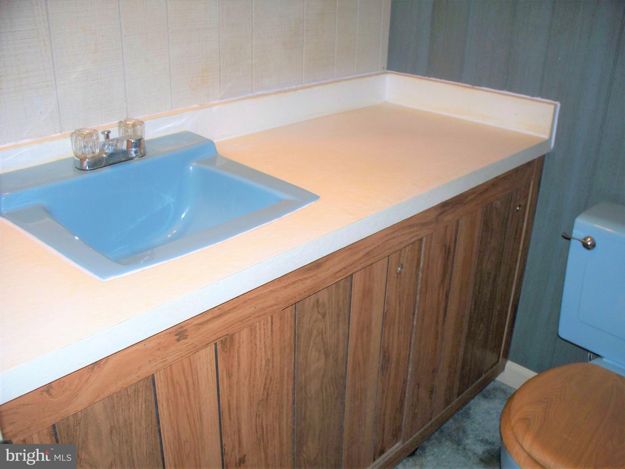 3118 Rocks Road Jarrettsville, MD 21084 - Photo 45 of 62 Bath on Lower Level - sink