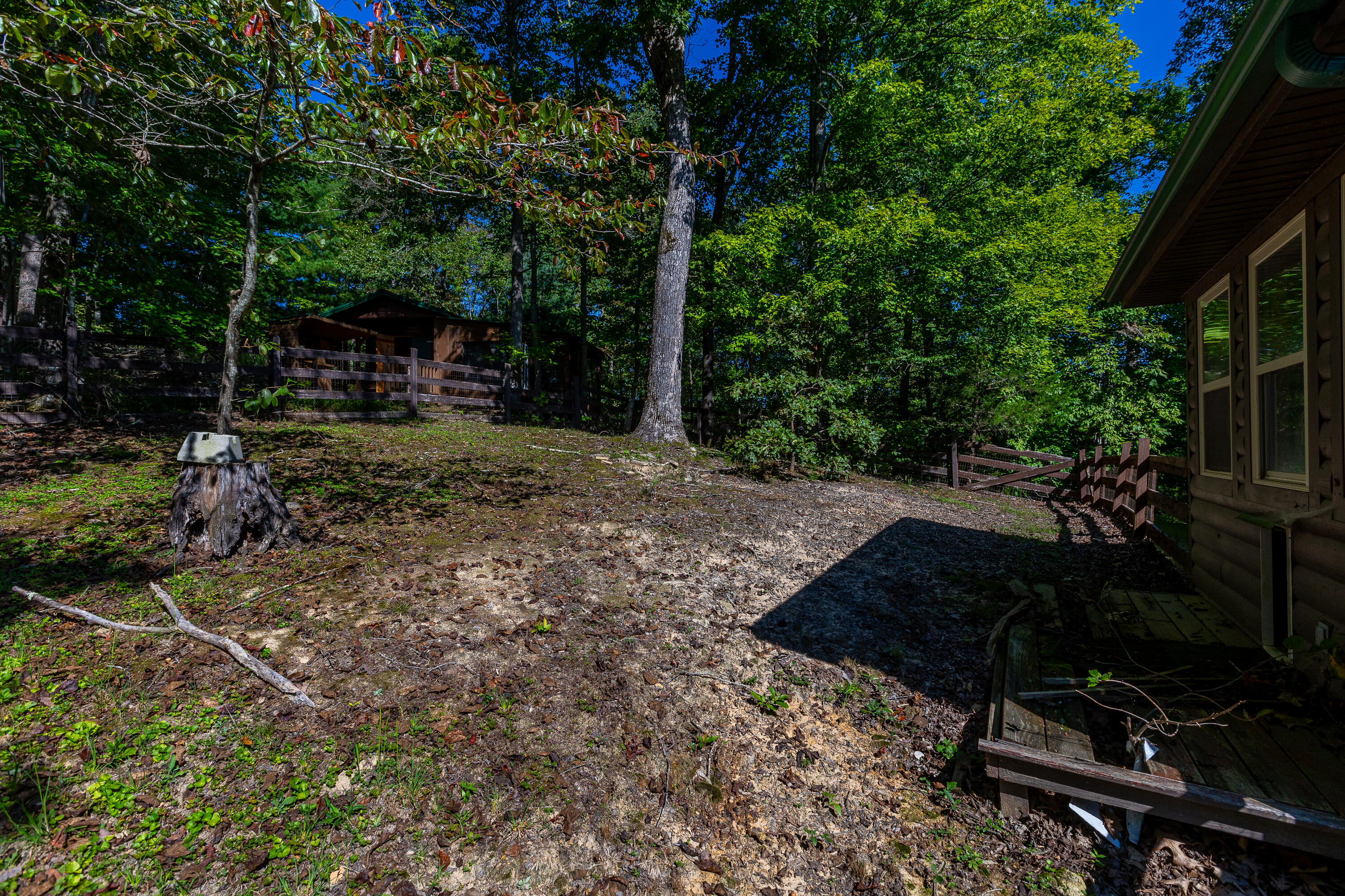 904 Phils Branch Road Mize, KY 41352 - Photo 36 of 56 Backyard