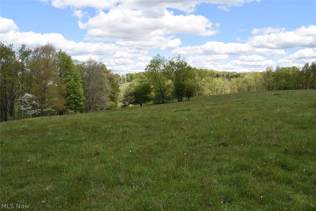 252 Waynesburg Road Northeast Carrollton, OH 44615 - Photo 16 of 35