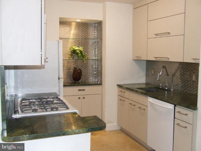 429 N Street Southwest, Unit S101 Washington, DC 20024 - Photo 2 of 19 Kitchen