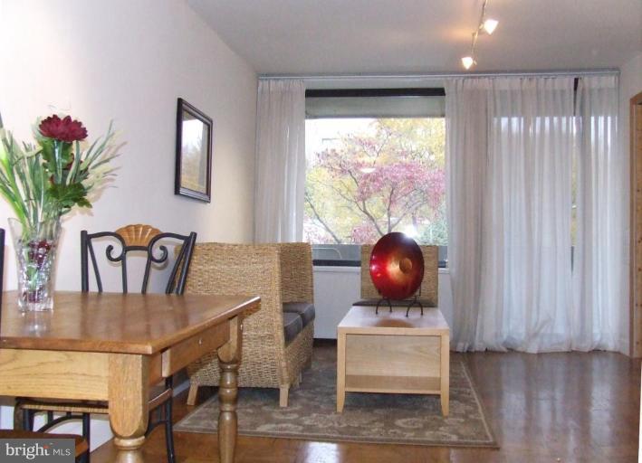 429 N Street Southwest, Unit S101 Washington, DC 20024 - Photo 15 of 19 Living Room/Dining Room
