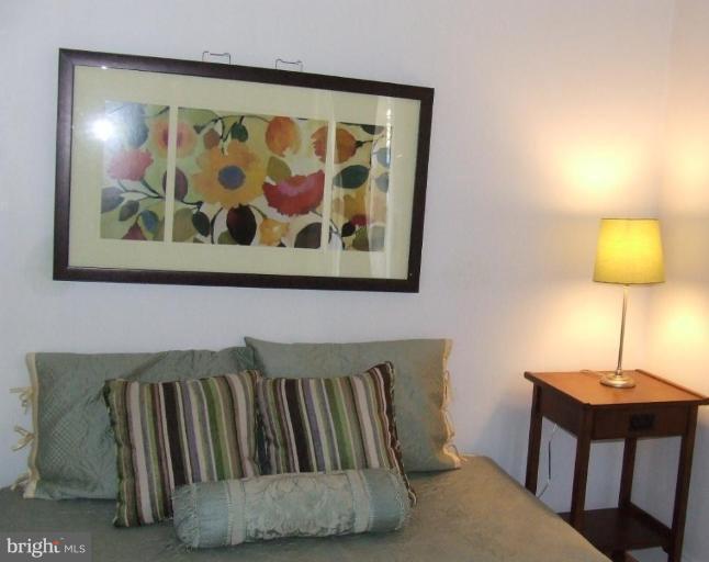 429 N Street Southwest, Unit S101 Washington, DC 20024 - Photo 18 of 19 Bedroom #1